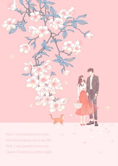 ���������½�����