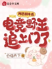 ���������󣬵羺Ұ��׷������